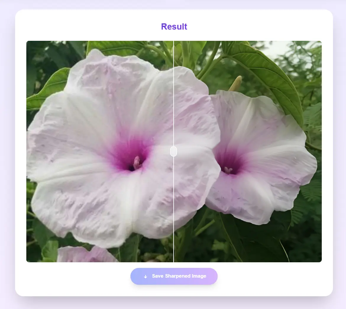 Download Result